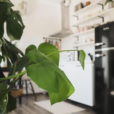 Urban Jungle Apartment - Free Parking Любляна Экстерьер фото