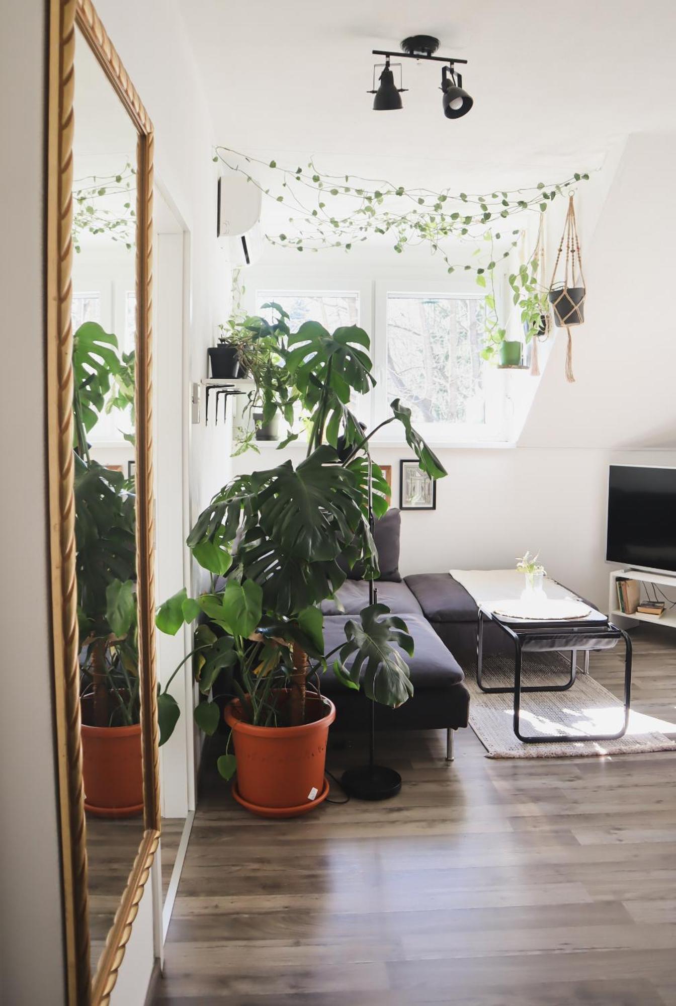 Urban Jungle Apartment - Free Parking Любляна Экстерьер фото