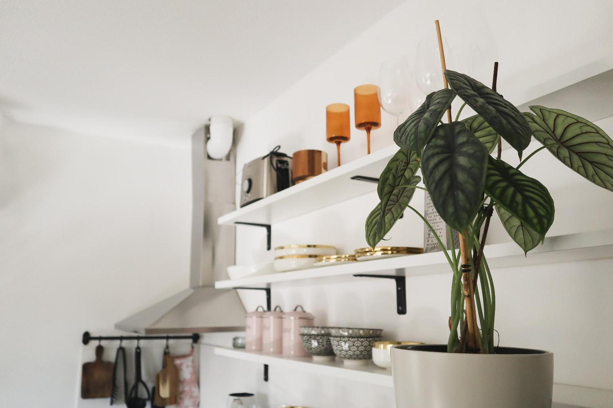 Urban Jungle Apartment - Free Parking Любляна Экстерьер фото