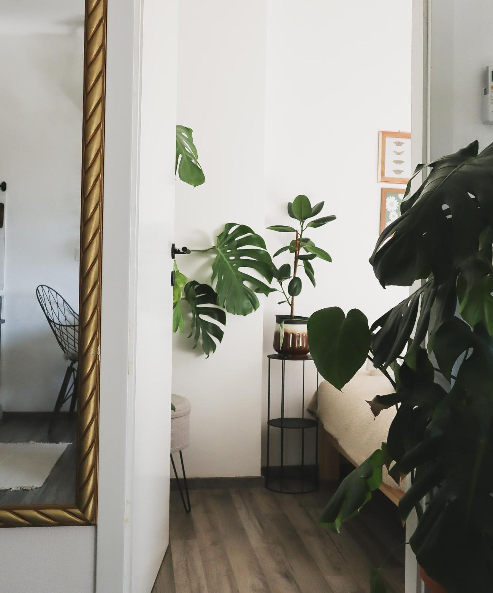 Urban Jungle Apartment - Free Parking Любляна Экстерьер фото