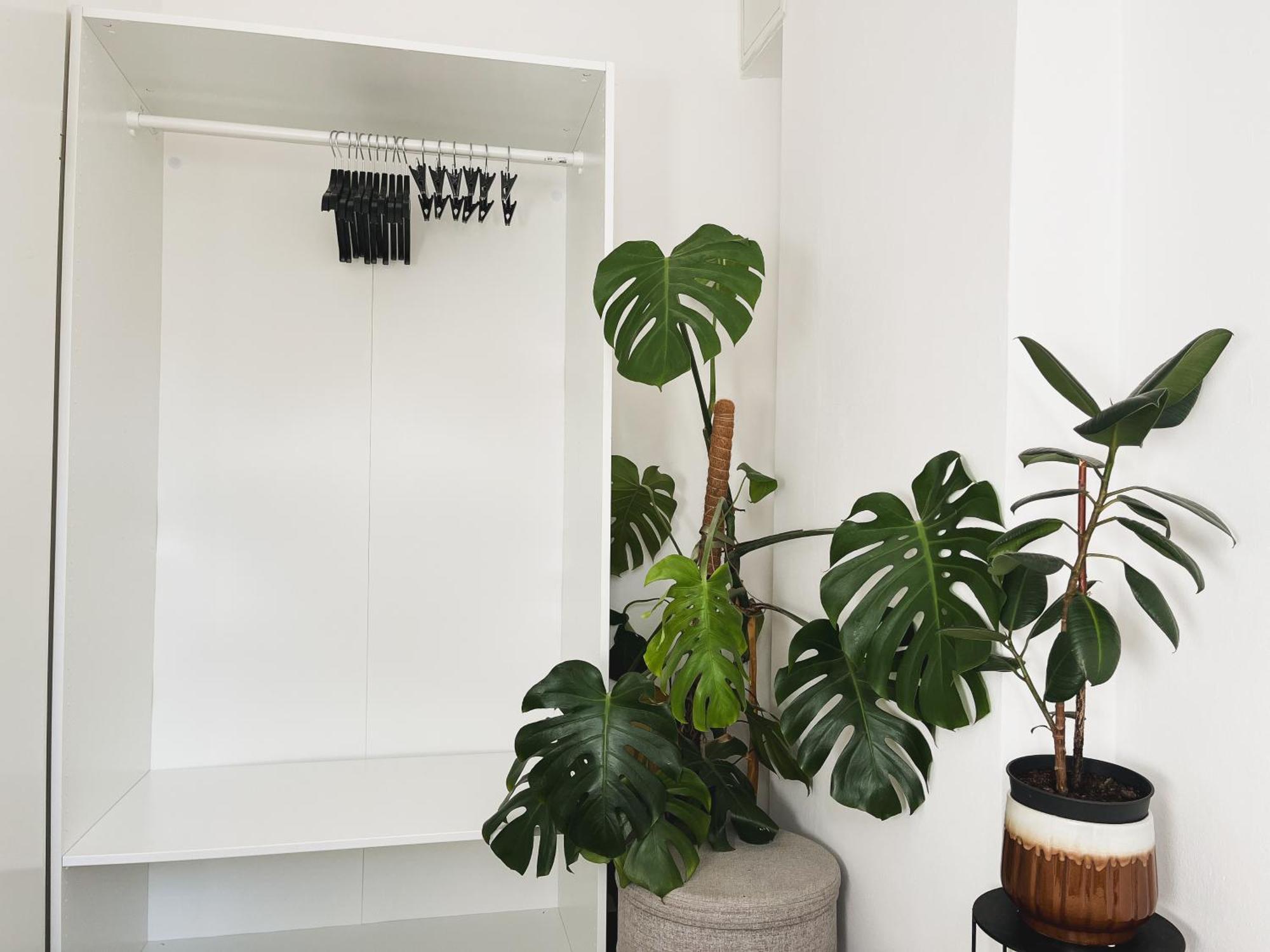 Urban Jungle Apartment - Free Parking Любляна Экстерьер фото